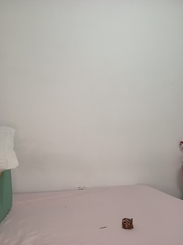 Webcam Model -Tasha- Videos