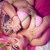 Webcam Model alessiawalker Videos