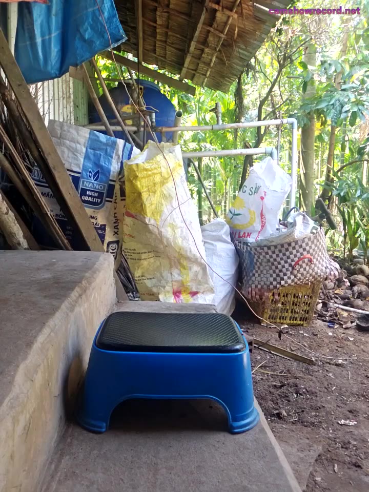 Suri_amabel